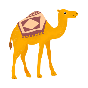 ラクダのイラスト